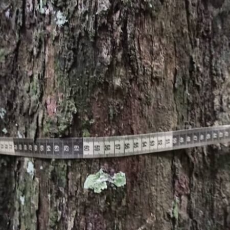 WhatsApp Image 2026-01-01 at 17.09.50