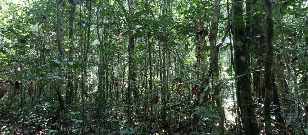 Agir Ensemble maintenant